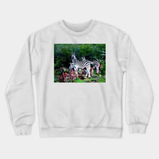 African Wildlife Photography Zebra Aloe Crewneck Sweatshirt